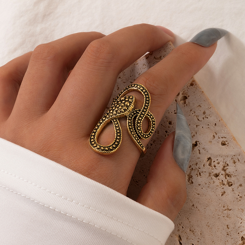 European and American long trend snake print ring punk style metal animal retro exaggerated snake ri