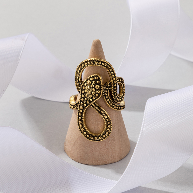 European and American long trend snake print ring punk style metal animal retro exaggerated snake ri