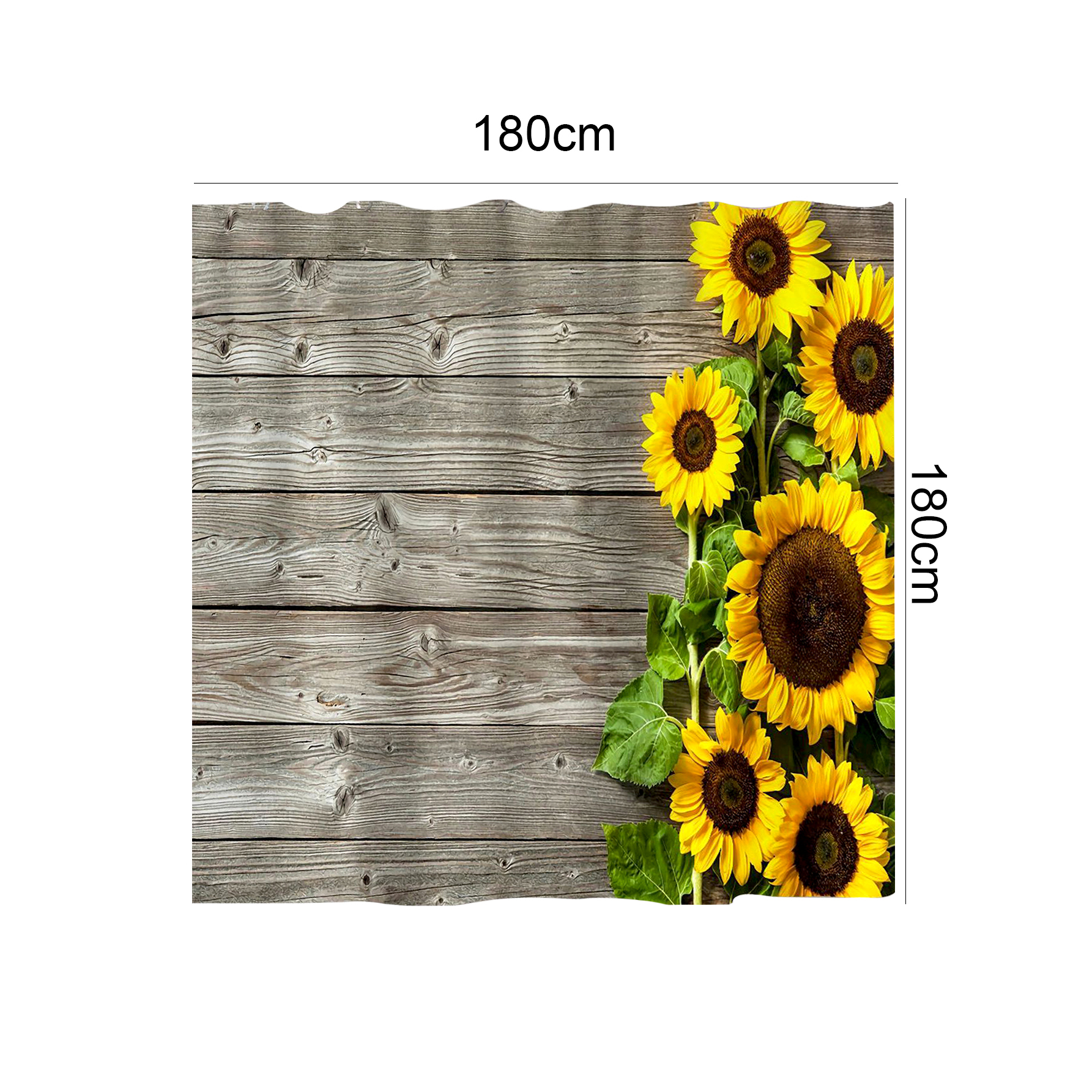 Sonnenblume Polyester Bedruckt 180mm Breite squreDuschvorhangpicture5