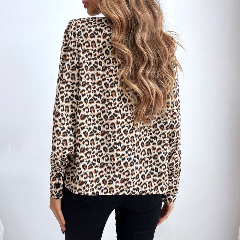 Fashion Ladies Trend Casual Leopard Print Long Sleeve Chiffon Shirtpicture4